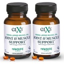 GLX3 Green Lipped Messel Oil Cápsulas para Apoio Músculo e Músculo □ Extra-Forte ETA, EPA, DHA Omega-3 Green Lipped Mussel Suplemento para Conforto, Flexibilidade e Recuperação por HakaLife GLX3