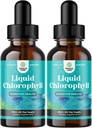 Clorofila aromatizada menta gotas líquidas - Vegan líquido clorofila gotas para Imune Suporte Gut saúde cuidados de pele Detox fígado apoio energia e mau hálito - alta potência desodorizador interno - 2 Pack