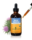 Herb Pharm extrato de semente de cardo para suporte de função hepática - 4 Onça (DMILK04)