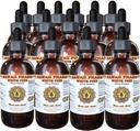 Extrato Líquido de Pinho Branco, Pinho Branco (Pinus Strobus) Tintura em pó de casca, Suplemento de ervas, Hawaii Pharm, Made in USA, 15x4 fl.oz
