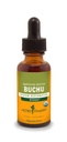 Herb Pharm certificado Buchu extrato líquido orgânico para suporte do sistema urinário, 1 Fl Oz