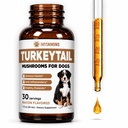 Cogumelo de cauda de Turquia para cães Ajuda a aumentar o sistema imunológico, é um prebiótico saudável, e muito mais , cauda de Turquia para cães , cogumelos para cães , Suplementos de cogumelos de cão , 1 fl oz