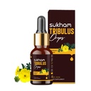 Tribulus Terrestris Liquid Drops TTT-120 Tribulus Extract (Extrato de Tribulus) 3rd Party Lab Tested (Extrato de Tribulus Terrestris) para Recuperação e Desempenho - 1 FL.OZ (40 Servões) com Saponinas e Flavonóides, Concentrado Líquido Livre de Álcool