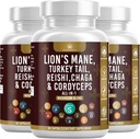 Suplemento de Cogumelo com Mane de Leão Turquia Coroa Reishi Cordyceps Chaga Marshmallow Raiz - 180 Conde