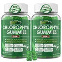 Pastilhas de clorofila, super verde 18-IN-1 com espirulina de chlorela orgânica, grama de trigo, magnésio, fibra prebiótica para desodorante interno *, Digestão de conforto, metabolismo, imune, fresco corpo Odor, 2Packs