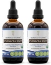 Echinacea Raiz USDA Tintura Orgânica Extrato Livre de Álcool, Drops de Ervas de Alta Potência, Saúde do Sistema Imune Feito a partir de 100% certificado Echinacea Echinacea Raiz (Echinacea Purpurea) 2x4 oz