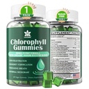 Pastilhas de clorofila - Super verde com grama de trigo, musgo marinho, ACV sem filtro & Elderberry, Echinacea, Complexo de zinco & Vitamina D3, C, E, B12 para desodorante natural, Imune & Digestion Support, 60 mastigações