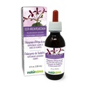 Naturalma Sul Africano Pelargonium or Umckaloaba (Pelargonium sidoides) Raiz de Tintura sem álcool - 4 fl oz extrato líquido em gotas - Suplemento de ervas - Vegan