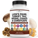 Leões Mane Mushroom Suplemento com Turquia cauda Reishi Cordyceps Chaga com Marshmallow Root - 1-Pack