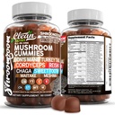15in1 Pastilhas de cogumelos com jujuba de leão Turquia cauda Cordyceps Reishi Chaga doce Toot Maitake Meshima Poria Cocos Shiitake Tremella, Oyster Agaricus cogumelos para homens e mulheres Suplemento Nutra limpo
