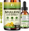 (2 Pack) 98% Absorção Mullein gotas para os pulmões, poderoso 5 em 1 Mullein Folha mistura de ervas extrato, pulmões naturais suporte suplemento para os pulmões limpar e detox e respiratória Pulmão saúde