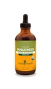 Herb Pharm Bugleweed Extrato líquido para suporte do sistema endócrino - 4 Onça