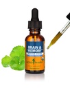 Herb Pharm Organic Nootropic Cérebro & Suplemento de memória com Ginkgo Biloba Extrato Líquido: Absorção rápida para apoio de foco mental, Ginkgo Suplemento, Vegan, Sem glúten, Não-GMO, 1 Oz