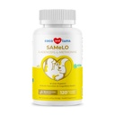 O mesmo para cães - 120 comprimidos mastigáveis - S-Adenosyl-L-Metionina, Suplemento Fígado - Saúde do Cérebro, Promove suporte cognitivo, Suporte ao Fígado (Mesma Tablet)