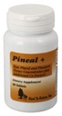 Pinhal +