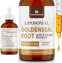 Goldenseal Root Extract 3000mg para Imune e Bem-Estar Respiratório - Absorvente rápido - Sugar-Free Vegan