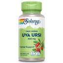 SOLARAY Uva Ursi Leaf 460 mg (Lâmina Saudável, Rim e Tratamento Urinário)