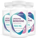 Berberine HCL Suplemento 1500mg - Alta biodisponibilidade Cápsulas de Berberina lipossomais para Mulheres e Homens, AMPK Ativador para Saúde Cardiovascular, Livre de Açúcar, Não-GMO, 180 Softgels