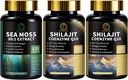 Cápsulas Sea Moss e Shilajit para Homens e Mulheres, Tudo em 1 Suplementos com Shilajit, Sea Moss, Coenzyme Q10, Semente Negra, Ashwagandha, Burdock para Energia, Antioxidante e Suporte Imune