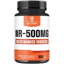 NAD+ Suplemento com Nicotinamida Riboside 500mg - Cellular Energy & Repair, Envelhecimento saudável, Bem-Estar - 90 Cápsulas - 3 Month Supply