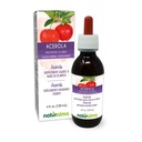 Naturalma Acerola (Malpighia glabra) Fruta Tintura sem álcool - Rico em vitamina C - 4 fl oz Extrato líquido em gotas - Suplemento de ervas - Vegan