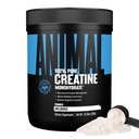 Pó monohidrato de creatina animal — micronizado para recuperação muscular, energia celular e bem-estar diário — para homens e mulheres — 300g sem sabor