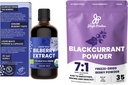 Pó de Selva Extrato de Amora Selvagem para Olhos USDA Organic 3.4oz Blackgrosent Powder Bundle Freeze Dried Black Groselha Extrato para Smoothies