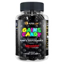 ALPHA LION ganha doces, pílulas de suplemento para bomba muscular e fluxo de sangue, impulsionador de óxido nítrico, suporta foco mental, usar diariamente para atualizar o desempenho do treino, 63 cápsulas (Nitrosigina)
