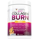 Queimamento multi-colagênico: Peptídeos de proteína hidrolisada multitipo com ácido hialurônico, vitamina C, covinhas SOD B, Tipos I, II, III, V e X, com Cafeína 30 Servings Tropical Punch Flavored