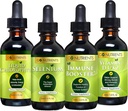 Go Nutrients Cold & Imune Bundle - Selênio, Vitamina D3/K2, Imune Booster, Clorofila Líquida – Suporte poderoso para o sistema imunológico, Fortalece a defesa do corpo, núcleo e vitalidade, Reforça a respiração