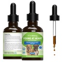 Bem-estar do animal de estimação Jovem no coração para cães - Saúde do Coração, Sistema Circulatório e Cardiovascular, Hawthorn, Motherwort, Schisandra - Veterinária-Formulada Suplemento de ervas 2 fl oz (59 ml)
