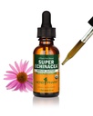 Herb Pharm Certified Organic Super Echinacea Liquid Extract for Active Imune System Support - 1 Onça (DSUPER01)