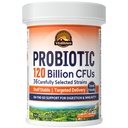 Vitalitown Probióticos 120 bilhões de UFCs, 36 Strains, Prebióticos, Enzimas Digestivas para Homens Mulheres, Libertação Atrasada, Prateleira Estável, Em Go Suporte Digestivo, 30 Veg Caps