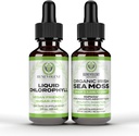 Benevolt Chlorophyll Liquid Drops + Irish Sea Moss Drops 2 onças, 4 meses de fornecimento Suplemento líquido de clorophyll para desodorizante interno e pele radiante