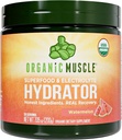 Hidrator Músculo Orgânico . Pó Eletrolítico Natural para Peak Performance & Recovery - Melancia sabor, 20 Servings