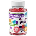 DR. MORITZ Pastilhas de magnésio calmas sem açúcar para crianças e adultos - Não-GMO Kids Magnesium Gummies - Framboesa sabor - 1-Pack (60 contagem)