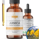 Arnica Liquid Extract – Alcohol-Free, Vegan, Suporta a recuperação muscular e conforto conjunto, Tintura de absorção rápida, Made in USA – 2 Fl Oz