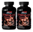 pílulas para homens sexo longo e forte - TRIBULUS TERRESTRIS EXTRACT 1000MG - MUSCLE FORÇA, reforço de fertilidade masculina, pílulas de libido masculino, pílulas de sexo masculino, realce masculino, reforço de resistência, 2B 120 Comprimidos