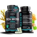 Cápsulas Certified Organic Sea Moss 2250mg Wildcrafted Irish Sea Moss Burdock Root Bladderwrack Supplement Raw Seamoss Pills & Powder (Pacote de 1 a 180-Caps)