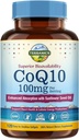 Terranics CoQ10 100mg, 120 Softgels, Absorção com Azeite Virgem Extra, Saúde do Coração e Produção de Energia