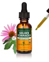 Herb Pharm Certified Organic Golden Echinacea Liquid Extract for Imune System Support - 1 onça (DGOLDEN01)