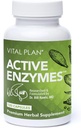 Plano vital Enzimas Ativas Suplemento por Dr. Bill Rawls - Enzimas Digestivas para Gut Health & Digestion - Protease, Bromelain, Lactase, Amylase & Lipase (120 Cápsulas)