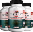 Wellary Max Menopause Support Supplement, 40 bilhões de UFC Mistura probiótica, 90 cápsulas (3)