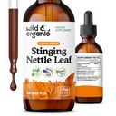 Wild & Organic Sting Nettle Leaf Extract Drops - Suporte de trato urinário - Líquido Stinging Nettle Suplemento - Urtica Dioica Tintura - 2-mês de fornecimento - Vegan, Açúcar & Álcool-livre - 2 fl oz