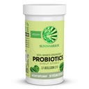 Sunwarrior Probióticos Solo-based Vegan Cápsulas para Digestion Soy Free Gluten Free Dairy 30 CT