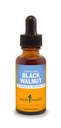 Herb Pharm Black Walnut Extract líquido para limpeza e desintoxicação - 1 onça