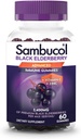 Sambucol Black Elderberry Gummies - Elderberry com zinco e vitamina C para adultos, Sambucus Gummies, Suporte Imune - 60 Contagem