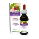 Naturalma Framboesa (Rubus idaeus) Folha Tintura sem álcool - 4 fl oz extrato líquido em gotas - Suplemento de ervas - Vegan