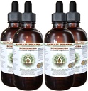 Echinacea Alcohol-Free Liquid Extract, Echinacea (Echinacea Angustifolia) Glicerita de raiz seca Hawaii Pharm Natural Herbal Supplement 4x4 oz