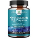Vitamina B3 Niacinamida 500mg Cápsulas - Mitocondrial Energia e Potent Skin Supplement - AKA Vitamina B3 Niacin 500mg Flush Free e Nicotinamida 500mg - Flush Free Niacin Supplement - 240